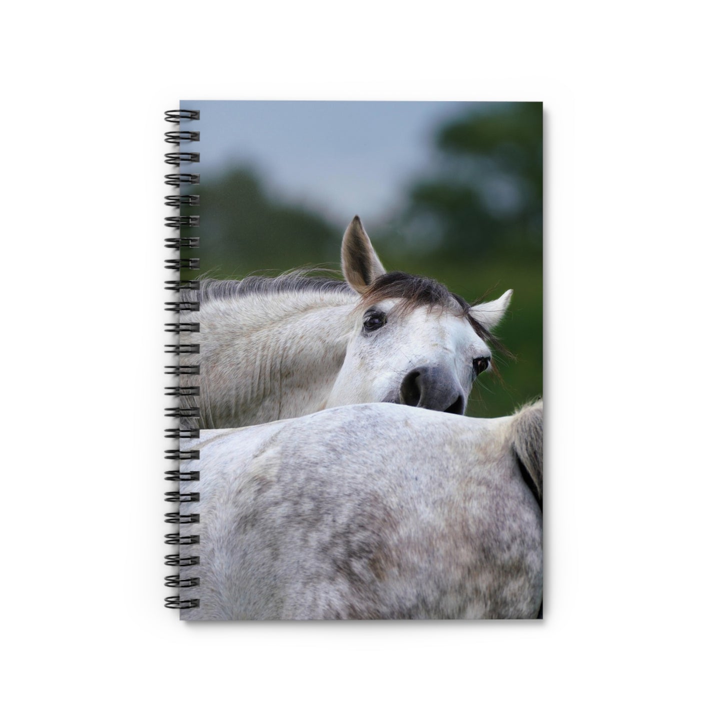 Horse Lovers Spiral Notebook - Elegant Ruled Lines for Notes, Journals, Gifts, Writing, Stationery