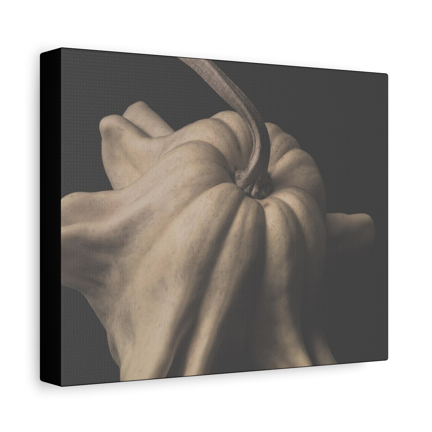 Elegant Pumpkin Canvas Art, Rustic Home Decor, Modern Wall Art, Fall Decor, Thanksgiving Gift, Autumn Vibes, Minimalist Design
