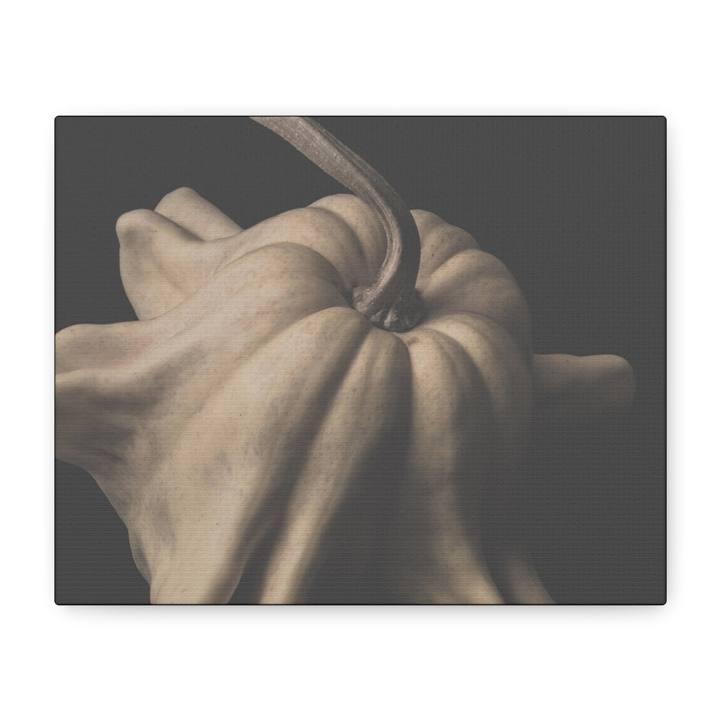Elegant Pumpkin Canvas Art, Rustic Home Decor, Modern Wall Art, Fall Decor, Thanksgiving Gift, Autumn Vibes, Minimalist Design