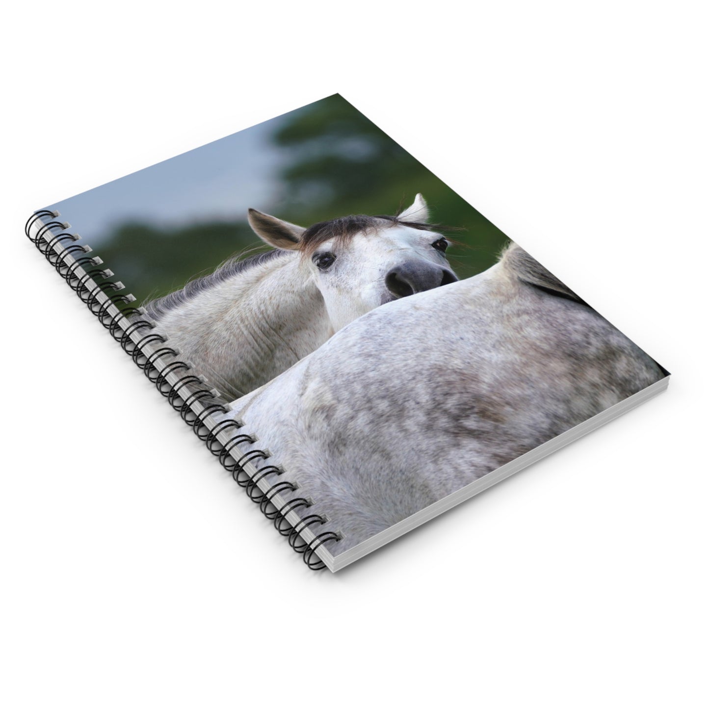 Horse Lovers Spiral Notebook - Elegant Ruled Lines for Notes, Journals, Gifts, Writing, Stationery