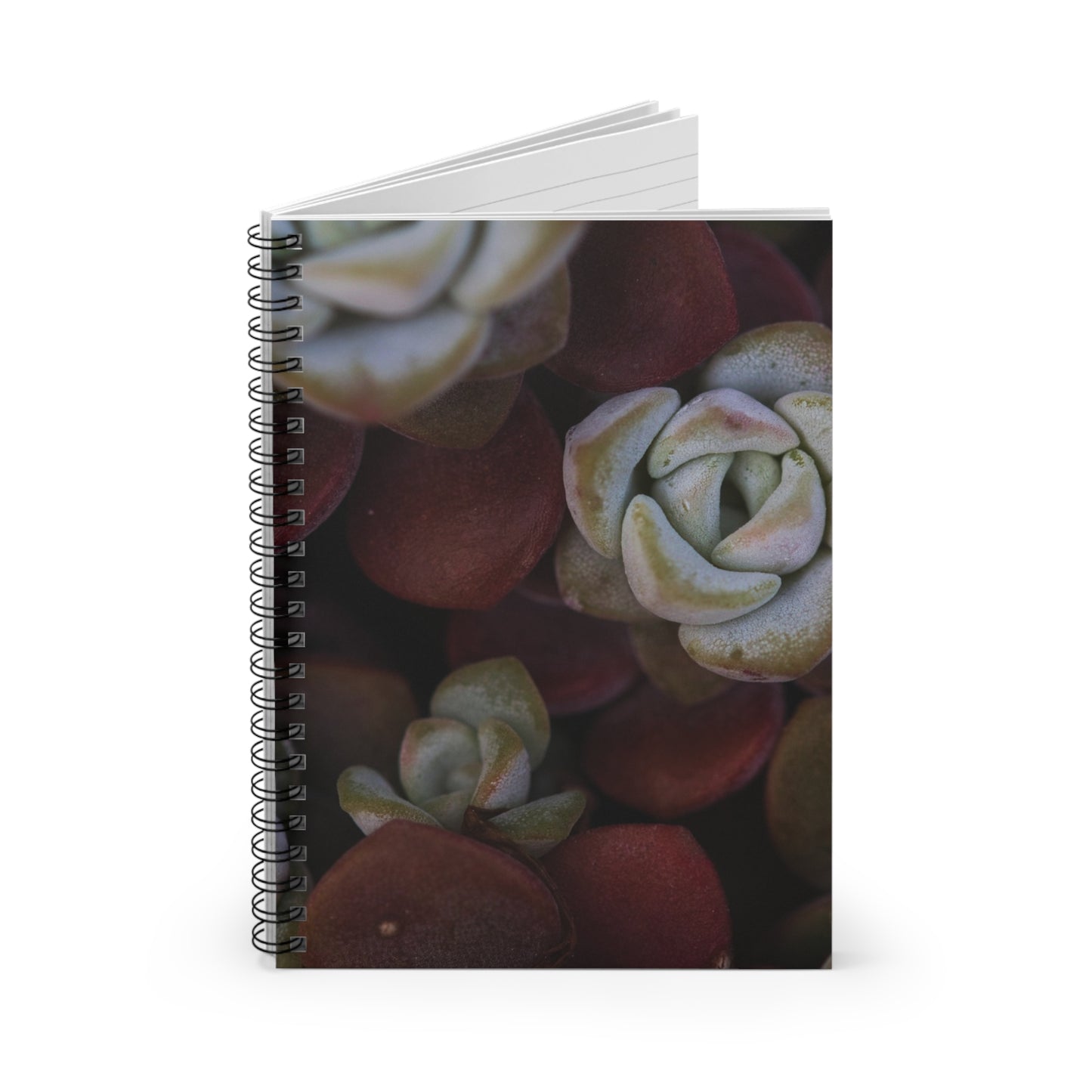 Succulent Spiral Notebook - Ruled Lines, Ideal for Journaling, School, Gift for Botanists, Nature Lovers, Stationery