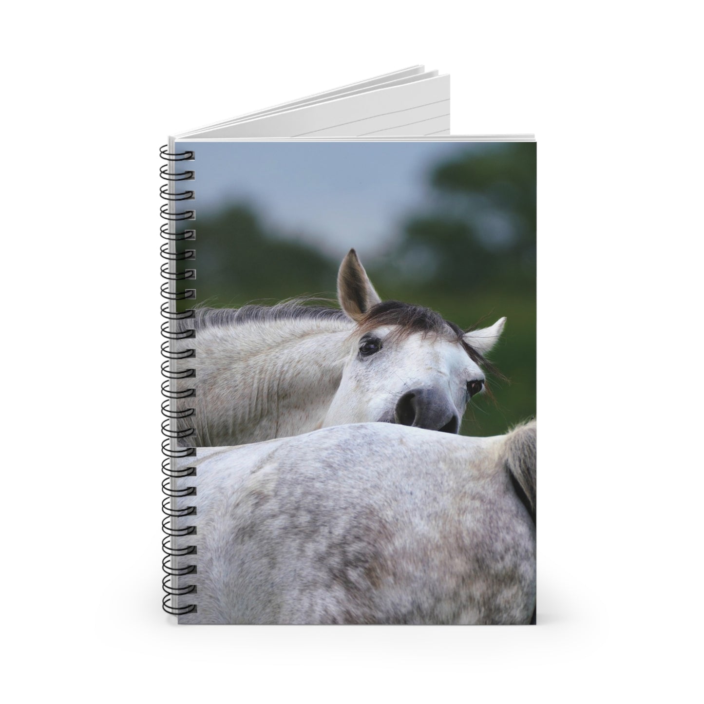 Horse Lovers Spiral Notebook - Elegant Ruled Lines for Notes, Journals, Gifts, Writing, Stationery