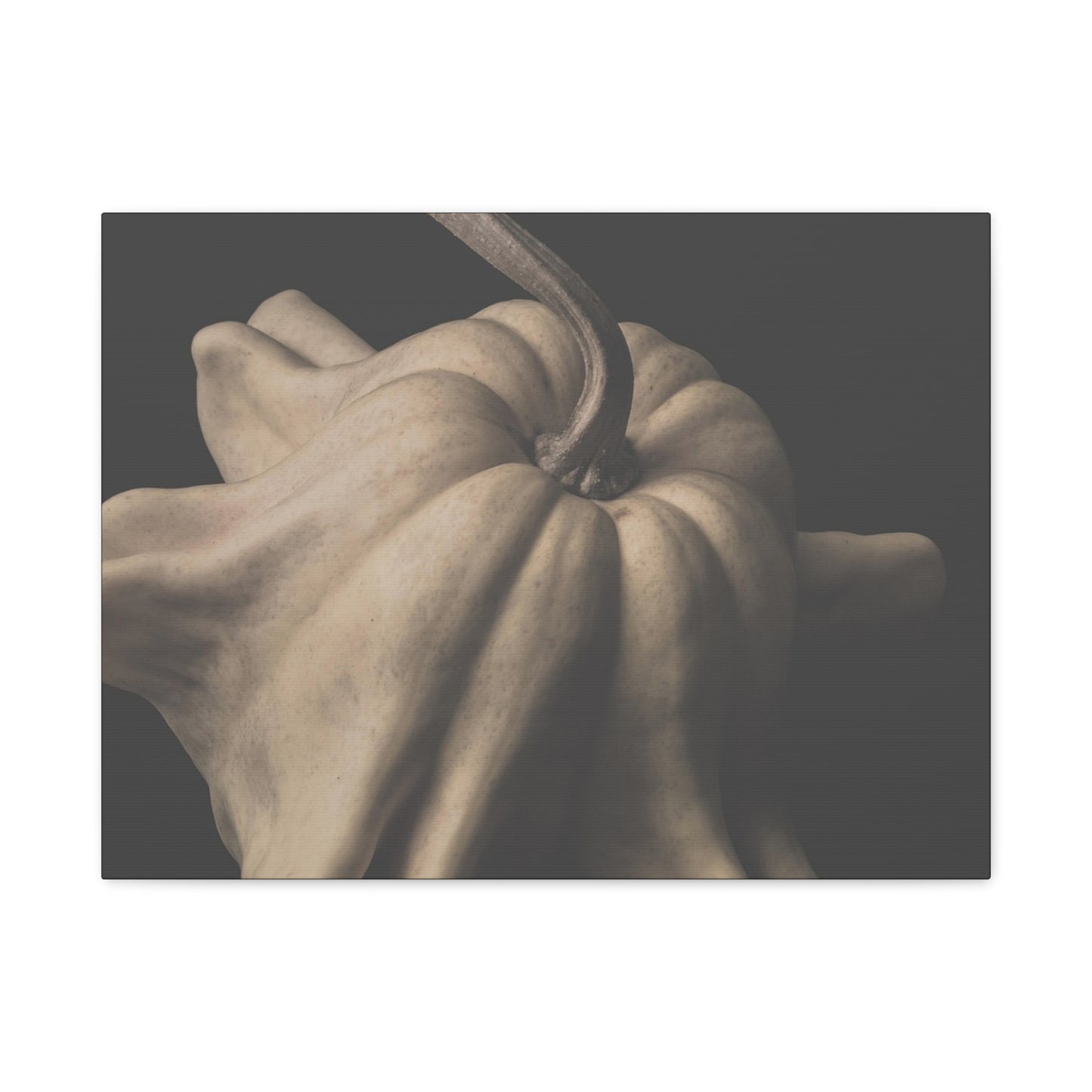 Elegant Pumpkin Canvas Art, Rustic Home Decor, Modern Wall Art, Fall Decor, Thanksgiving Gift, Autumn Vibes, Minimalist Design