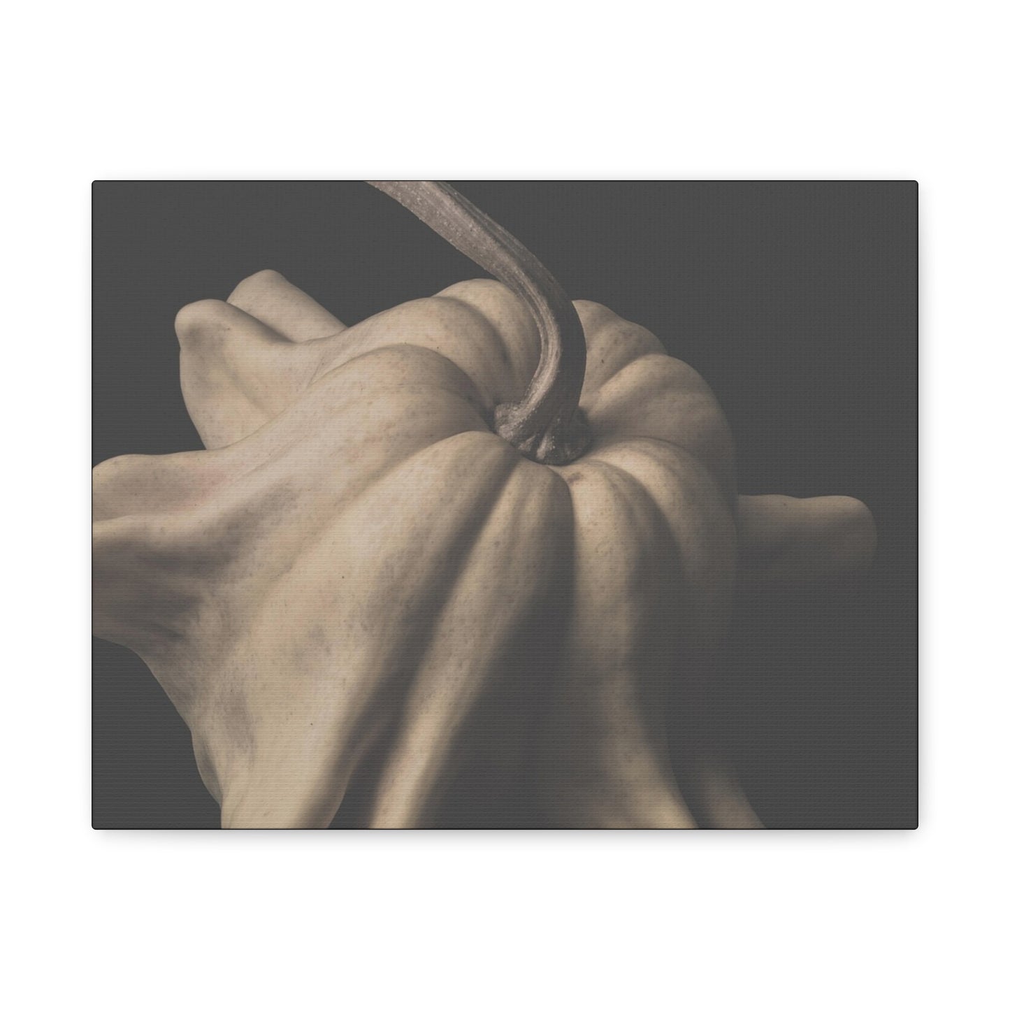 Elegant Pumpkin Canvas Art, Rustic Home Decor, Modern Wall Art, Fall Decor, Thanksgiving Gift, Autumn Vibes, Minimalist Design