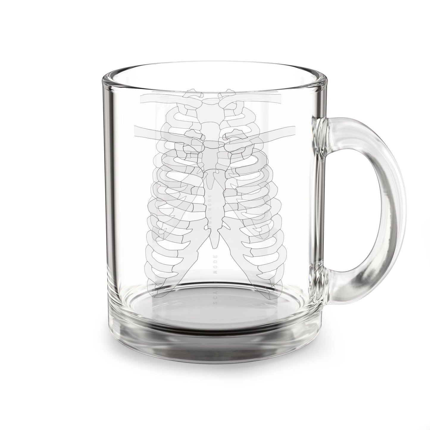 Skeleton Ribs Glass Mug, 10oz | Unique Anatomy Gift, Halloween Decor, Medical Student Mug, Science Lover's Drinkware